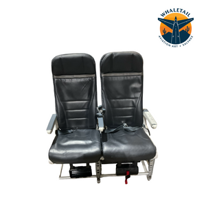 Aircraft Economy Row of 2 Seats- Blue Headrest