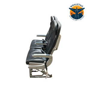 Aircraft Economy Row of 2 Seats- Blue Headrest