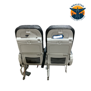Aircraft Economy Row of 2 Seats- Blue Headrest