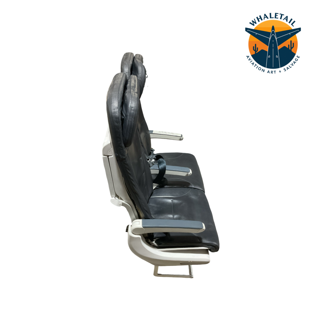 Aircraft Economy Row of 2 Seats- Blue Headrest
