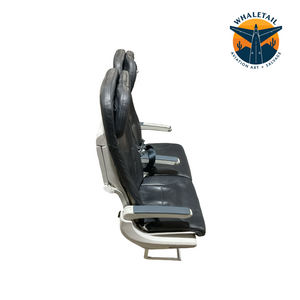 Aircraft Economy Row of 2 Seats- Blue Headrest