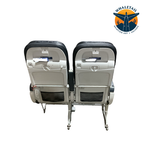 Aircraft Bulkhead row of 2 Seats- Blue Headrest