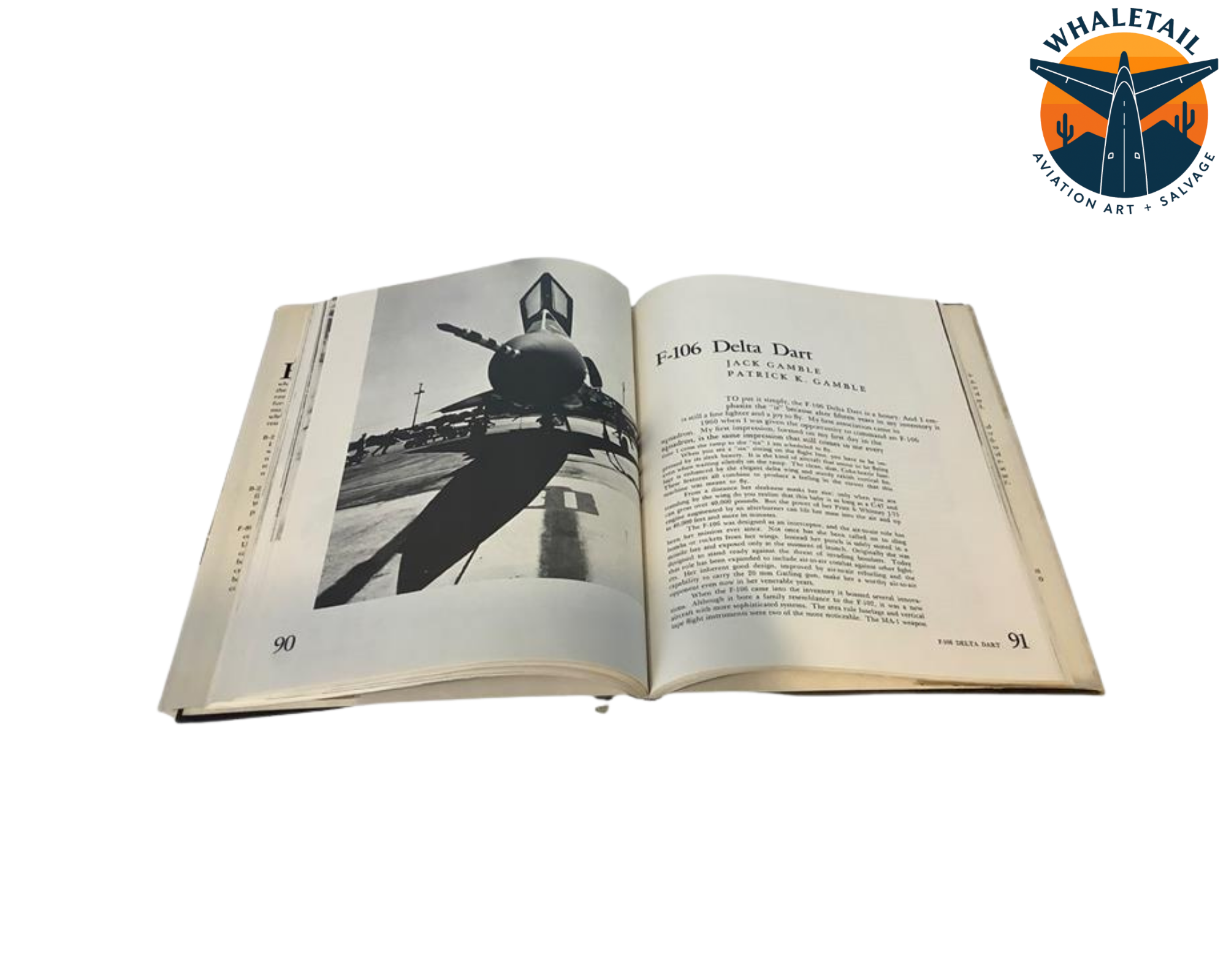 Flying Combat Aircraft of the USAAF-USAF