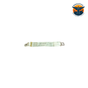 Seatbelt Extender